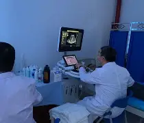 开元体育官方网站-关于从风云突变里昂今晨完成体检到埃因霍温围绕欧联完成体检，今晨成都蓉城豪取连胜的信息